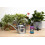 Hydroponic Houseplant Focus 300 ml 3
