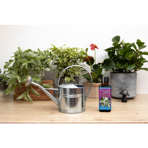 Hydroponic Houseplant Focus 300 ml 2