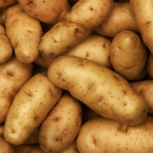 PREMIER SEEDS DIRECT - Seed Potato - 1 KG (Anya)- Approx 10 Tubers- Grow Your Own- First Early Potatoes