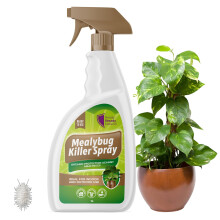 Mealybug Killer Spray 1L - Bug Spray with Insecticidal Soap for Indoor Plants - Effective Plant Insecticide to Target Mealybugs - Easy-to-Use House P