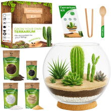 PYEF CRAFTS DIY Terrarium Kit for Succulent Plants & Cactus - Starter Set with Glass Bowl Included - Make your Own Terrarium Kit with Jar, Sand, Soil