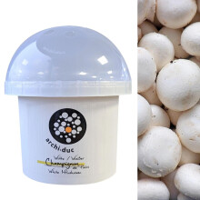 Carbeth Plants White Mushroom Dome Growing Kit - Easy to Use Button Mushrooms Indoor Grow Kit - Simple Mess Free Fun Cooking & Learning Project - Ide