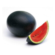 PREMIER SEEDS DIRECT Water Melon - Sugar Baby - 40 Seeds - Organic/BIO