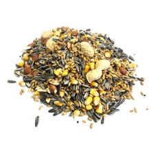 Squirrel Mixture 12.5kg Premium Wild Life Food Garden Seed
