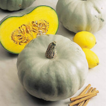 Suttons Squash Seeds - F1 Crown Prince, Squash Seeds, Vegetable Seeds, Cucurbita, 5 Seeds per Pack, Grow Your own, Ideal for Green