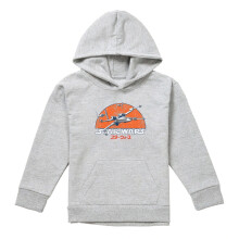 (9-11 Years, Athletic Heather) Star Wars Childrens/Kids X-Wing Fighter Heather Hoodie