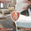 Carpet Beetle Killer Spray 650ml - Powerful Insecticide for Beetles 4