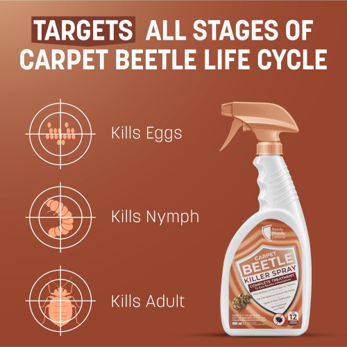 Carpet Beetle Killer Spray 650ml - Powerful Insecticide for Beetles 2