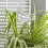 Heiqlay Plant Watering Devices, 6 Pack Self Watering System for 3