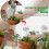 Heiqlay Plant Watering Devices, 6 Pack Self Watering System for 5