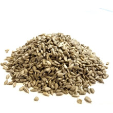Sunflower Hearts 12.54kg Premium Wild Bird Food Seed