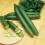 Suttons - Cucumber Seeds - Telegraph Improved 1