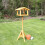 Kingfisher Premium Bird Table with Built in Feeder 1
