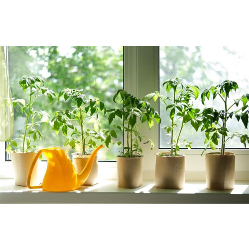 Mr Fothergill's Miracle-Gro Rotary Lawn Seed Spreader 2