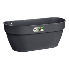 elho Vibia Campana Wall Basket 35 - Planter for Balcony & Outdoor - Ø 35.0 x H 14.8 cm - Black/Anthracite