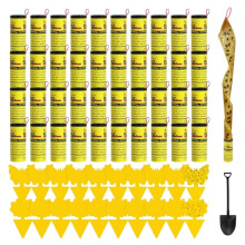 60 Pcs Fruit fly traps, Fly catcher Fly Strips Fungus Gnat Killer for Multiple Insects, Sticky Fly Traps for Home Use Indoor and Outdoor Child & Pet