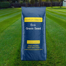 Boston Seeds Fast Growing Grass Seed - Hard Wearing Grass Seed Available in Various Weights, Rapid Germination for All Lawns & Landscapes (1 x 2kg)