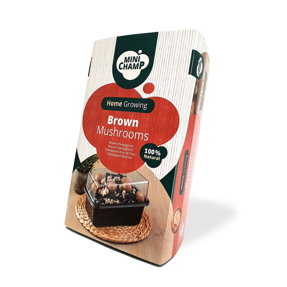 Yougarden Brown Mushroom Growing Kit. Grow Your Own Mushrooms Kit. Gardening Gifts For Women, Men And Kids. Mushroom Grow Kit Perfect As A Gift And F