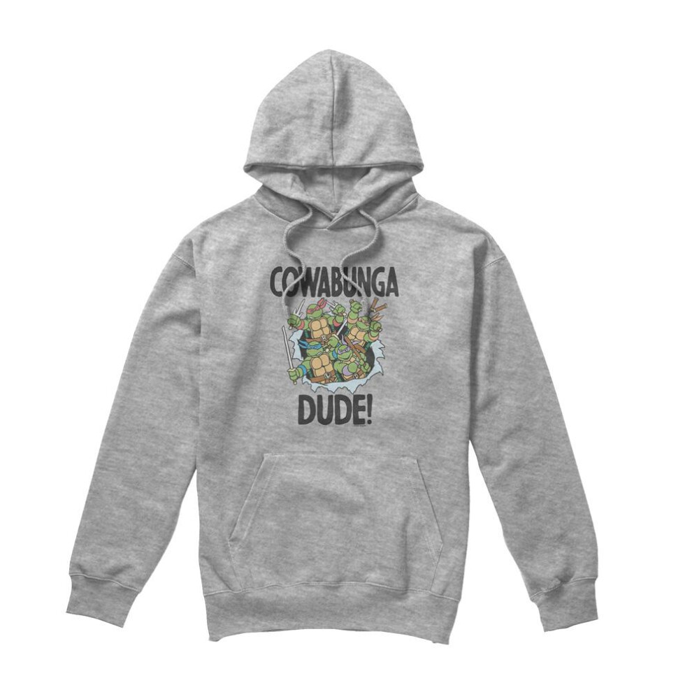 Teenage Mutant Ninja Turtles (S, Sport Heather) Mens Cowabunga Dude Hoodie Multicoloured
