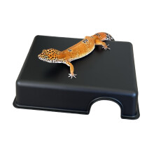 Scatola Nascosta per Rettili, Rifugio per Animali Piccoli, Caverna in Plastica per Gechi Leopardini