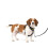 PetSafe PetSafe Easy Walk Comfort No-Pull Dog Harness - Padding & 5 Adjustments Small/Medium, Black 1