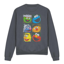 (L, Charcoal) Sesame Street Unisex Adult Characters Sweatshirt