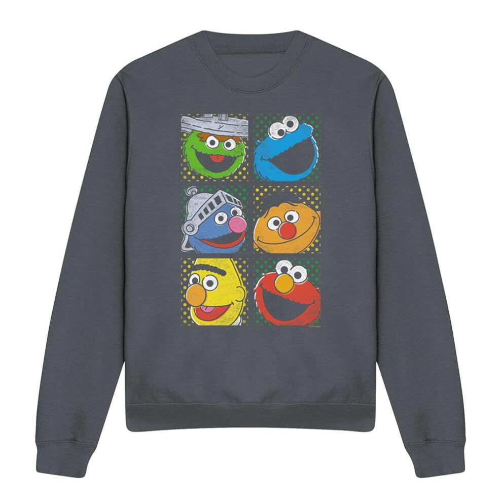 Sesame Street (S, Charcoal) Unisex Adult Characters Sweatshirt Multicoloured