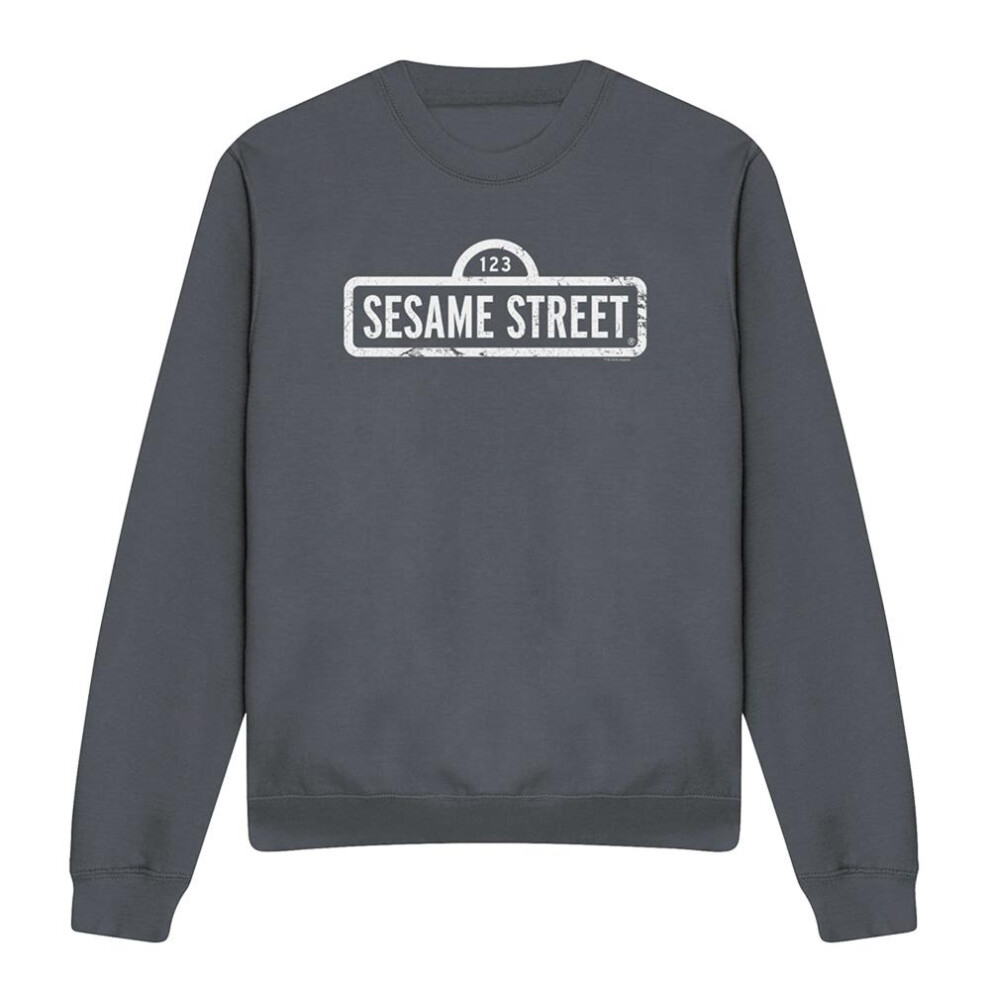 Sesame Street (L, Charcoal) Unisex Adult Logo Sweatshirt Multicoloured