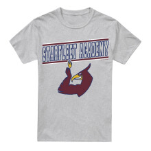 (S, Sport Heather) Star Trek Mens Phoenix T-Shirt