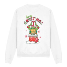 (M, White) Teenage Mutant Ninja Turtles Unisex Adult Green Greetings Christmas Scene Sweatshirt