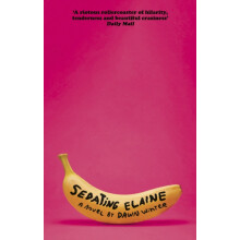 Sedating Elaine by Dawn Winter Paperback Book