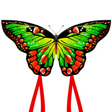 HONBO Butterfly Kites for Kids & Adults,55" x 28" Large Beginner Kite for Kids Ages 4-8,Easy to Fly for Beginners,Beach Kites for Outdoor Activities