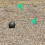 5Pièces Drapeaux Reutilisables Fer Verts Marqueurs Terrain 5