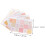 Small Bible Tabs Assorted Colors Paper Page Dividers for Study 10