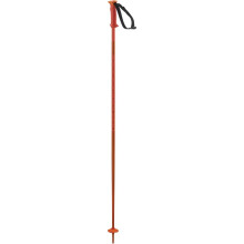 Salomon POLAR Cherry Tomato 100