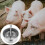 2Pièces À Automatique Acier Pour Animaux 8
