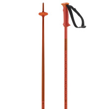 Salomon POLAR Cherry Tomato 125