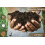 Wholefood Earth - Pecan Halves 250 g 5