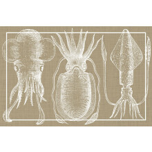 VINILIKO Vinyl Carpet, Squid Cuttlefish