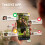 TEKXYZ Reflex Ball with Counter App & Online Community, 2 Difficulty L 5