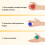 Geebymol Hand Therapy Squeeze Exercise Stress Balls Finger Wrist Grip 4