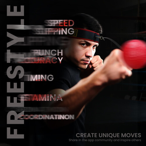 YMX BOXING Ultimate Training Ball Set - 4 Reaction Ball Plus 2 2