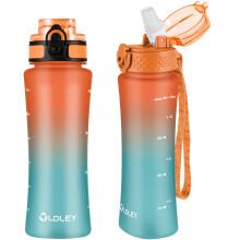 OLDLEY 450ml/15oz Water Bottle with Straw 2 Lids Reusable Drink Bottle