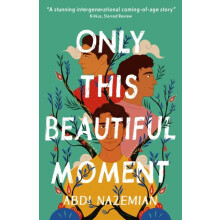 Only This Beautiful Moment by Abdi Nazemian Paperback Book