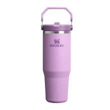 Stanley 1913 Flip Straw Tumbler Water Bottle 0 89L Keeps Cold 12 Hours