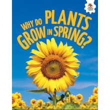 Young Science Seekers Why Do Plants Grow in Spring by Rebecca Storm Pa