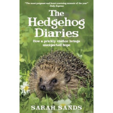 The Hedgehog Diaries by Sarah Sands Paperback Book