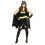 DC Comics DC Comics Womens/Ladies Batgirl Plus Costume 1