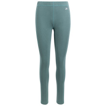 (XS, Pewter/Teal Mist) Trespass Womens/Ladies Sunita Base Layer Bottoms