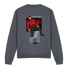 (L, Charcoal) Star Trek Unisex Adult Is This Seat Taken Sweatshirt